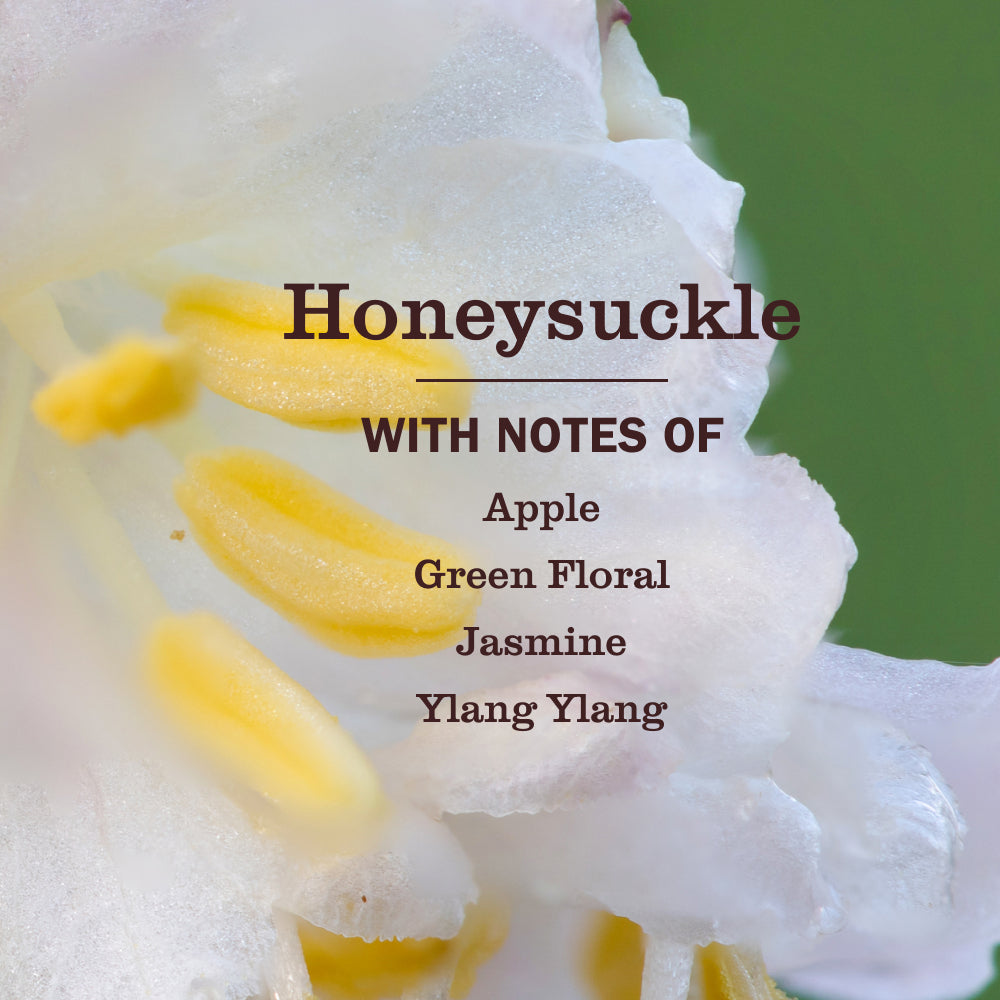Honeysuckle Dryer Sheets - Image 3